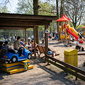 Spielplatz im Tierpark Bad Pyrmont mit viel Platz zum Toben