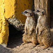 Tierpark Bad Pyrmont - Ein Erlebnis für die ganze Familie - Foto Erlebnisbereich Kids